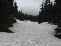 Snow on the Primrose Trail
